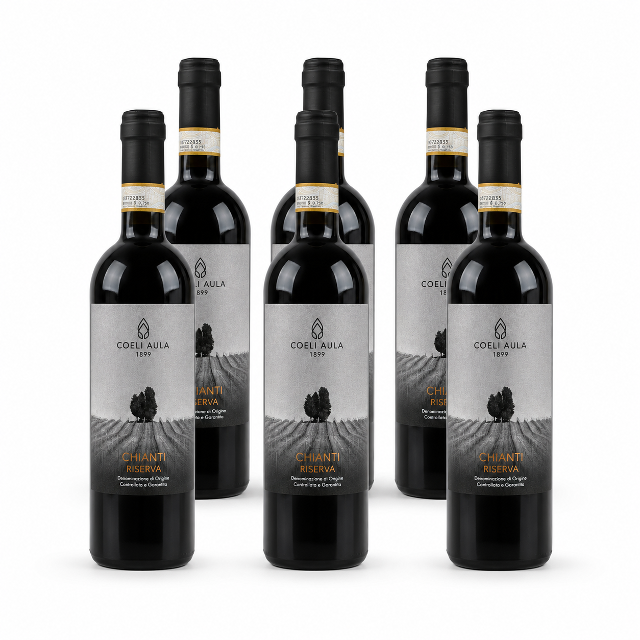 Coeli Aula - Chianti Riserva 6 stk.