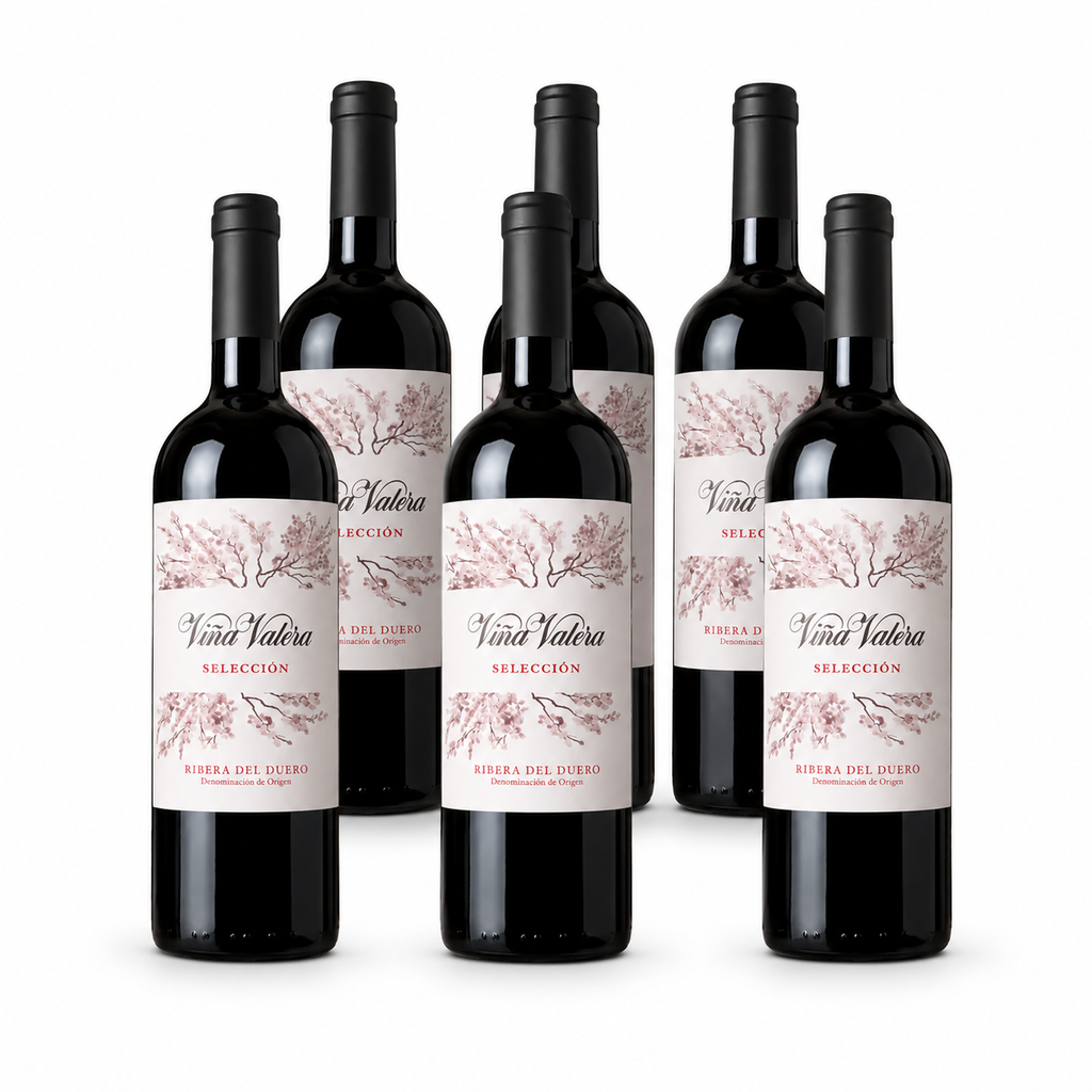Bodega Viña Valera - Selección 2020 6 stk.