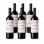Bodega Viña Valera - Selección 2020 6 stk.