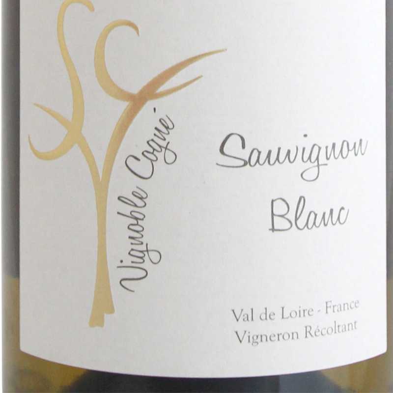 2024 Sauvignon Blanc IGP Loire Domaine Vignoble Cogné