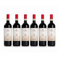 6 flasker Coeli Aula Chianti 2023 DOCG italiensk rødvin