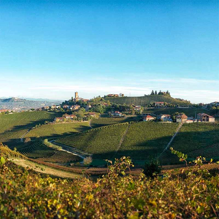 pajé barbaresco vinmark