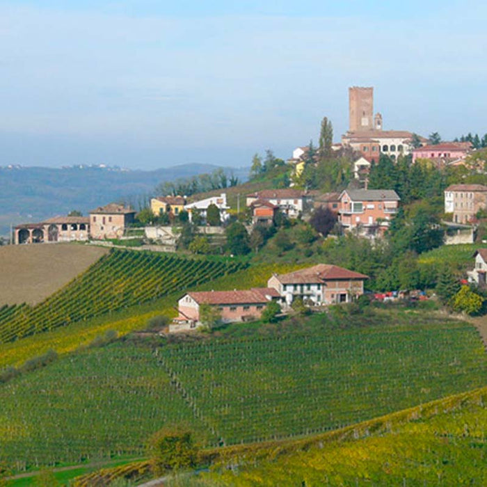 Produttori del Barbaresco vinmark