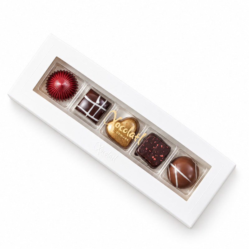 Xocolatl - Christiansfelder Star, 5 stk.