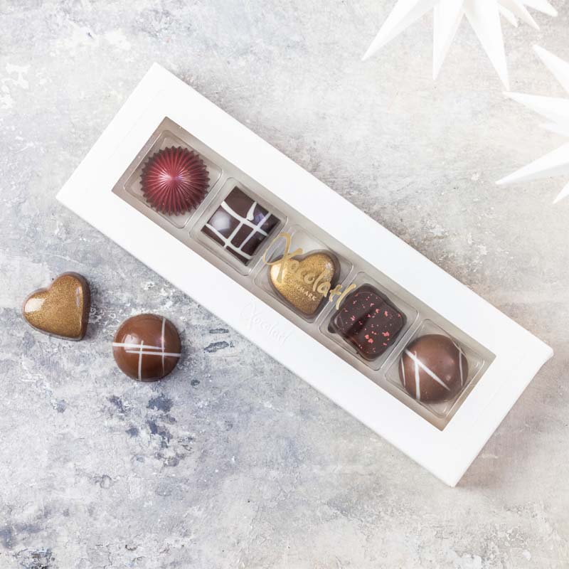 Xocolatl - Christiansfelder Star, 5 stk.