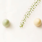 Aalborg Chokoladen - Påskeæske m. 14 Vagtelæg