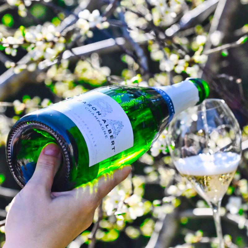 Baron Albert Champagne Brut l'Universelle