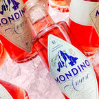 bayersk aperitif mondino