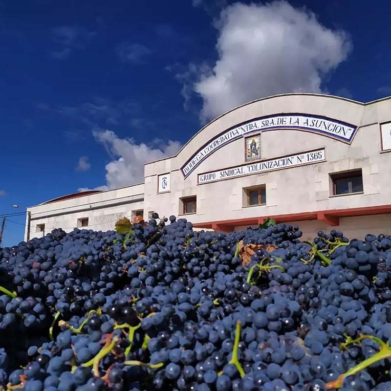 Bodega Viña Valera - Reserva 2024
