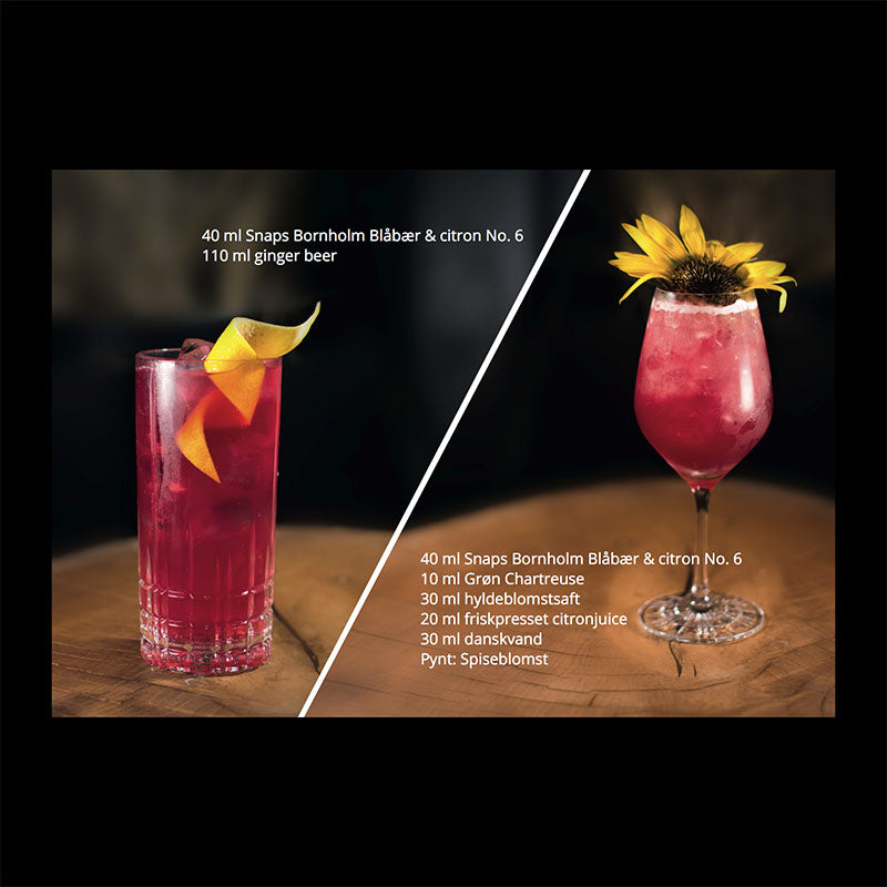 SNAPS BORNHOLM - № 6 Blåbær & Citron 40% 50 cl.