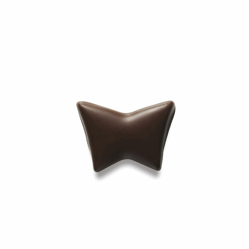 Summerbird café chokolade